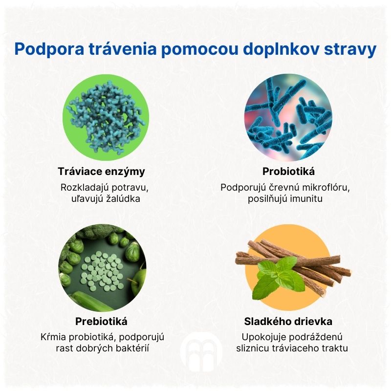 (Slovenčina) Podpora trávení pomocí doplňků stravy